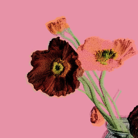 Discover: Rats-Tails - Flowers